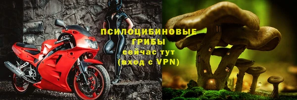 соль ск Арсеньев