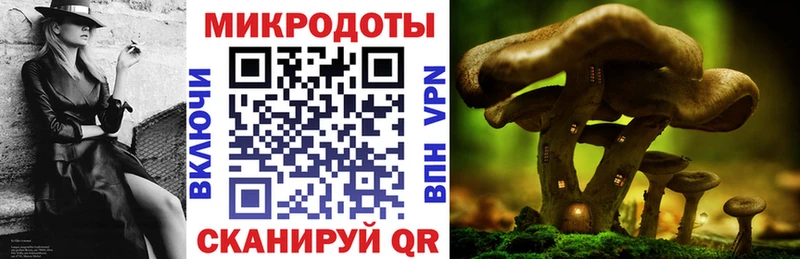 где можно купить Суджа MEGA как войти Галлюциногенные грибы MAGIC MUSHROOMS